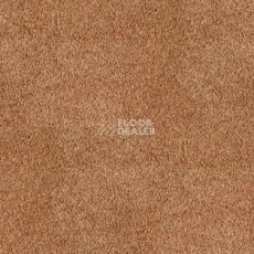 Ковролин AW Parana 84 фото 1 | FLOORDEALER